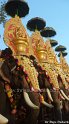 thrissur-pooram-2013-1 (43)